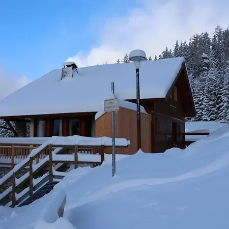 Schuss Domek alpejski *